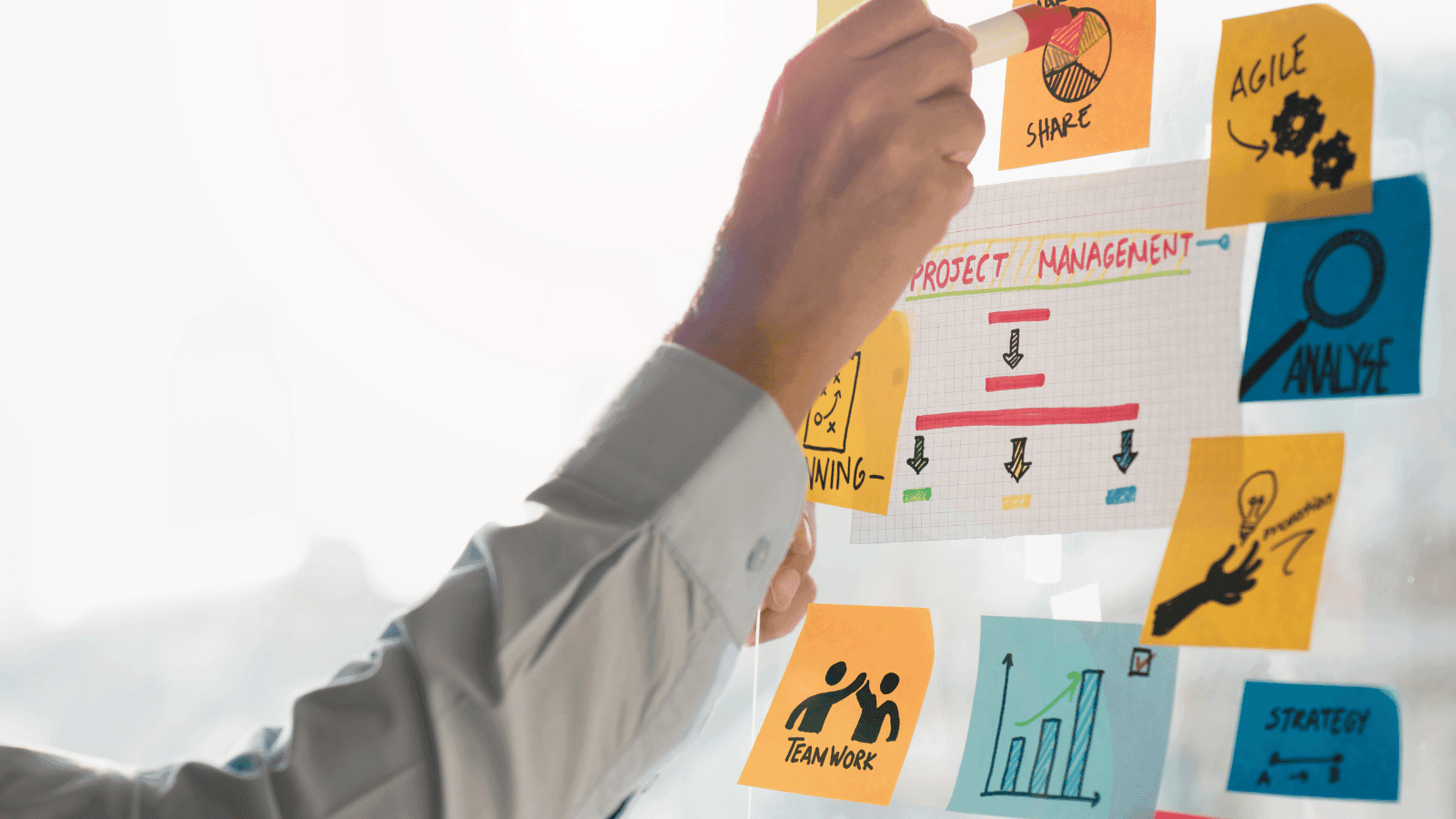 Notion, Trello, Asana